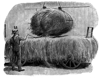 hay-illustration